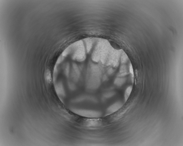 X0000110990089200907171801