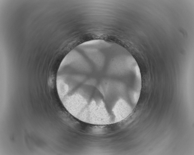 X0000110990090200907171801
