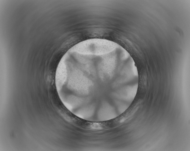 X0000110990091200907171801