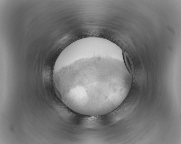 X0000110990092200907171801