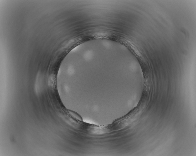 X0000110990093200907171801
