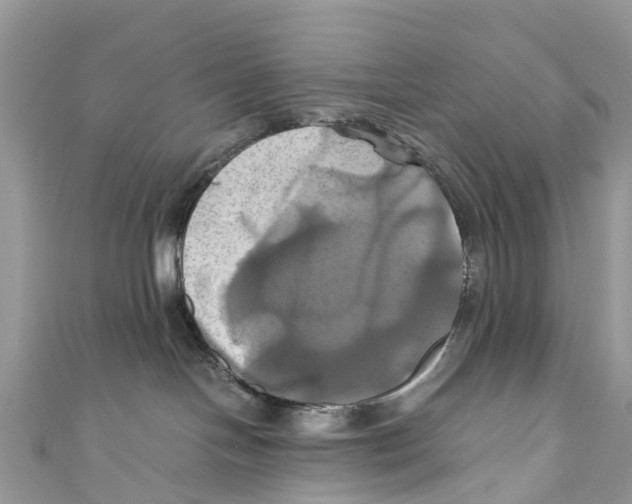 X0000110990094200907171801
