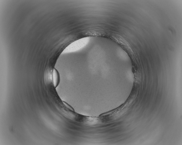 X0000110990095200907171801