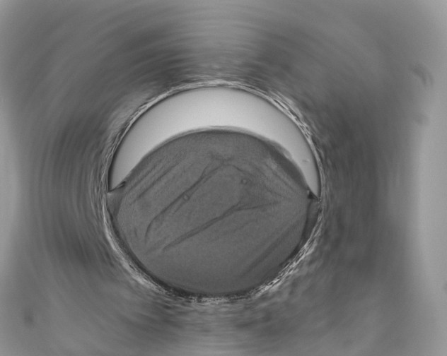 X0000110990097200907171800