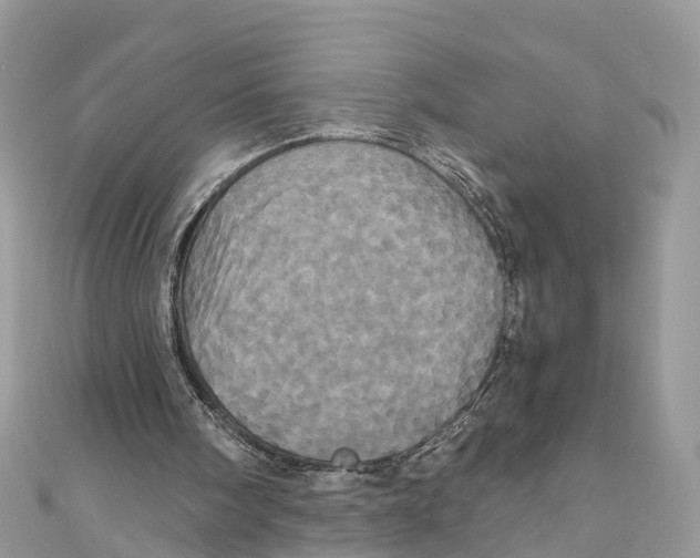 X0000110990098200907171800