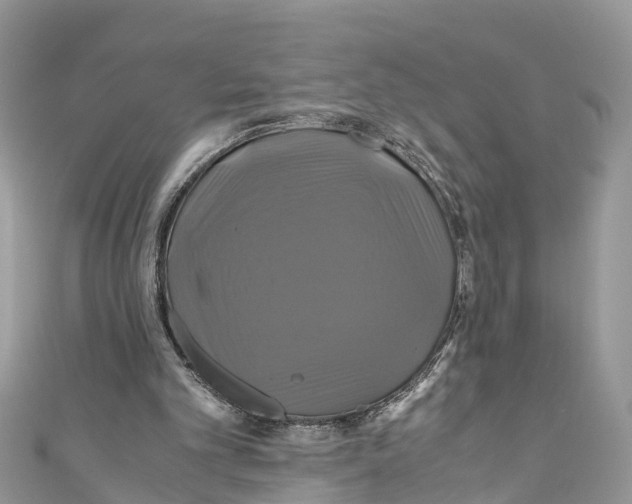 X0000110990101200907171800