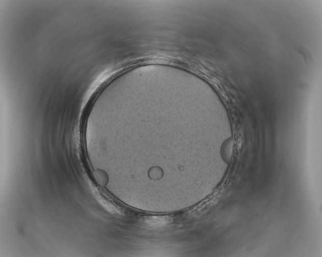 X0000110990102200907171800