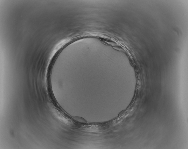 X0000110990104200907171800