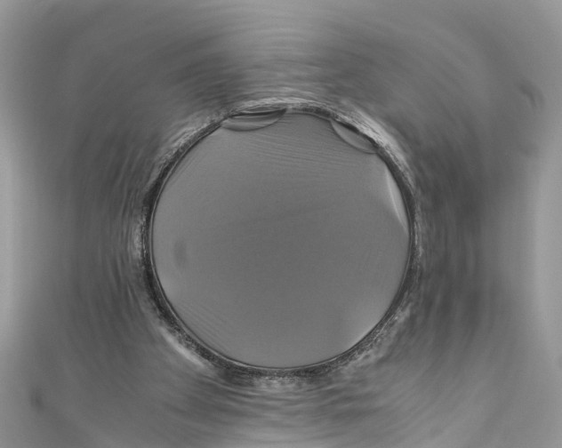 X0000110990105200907171800