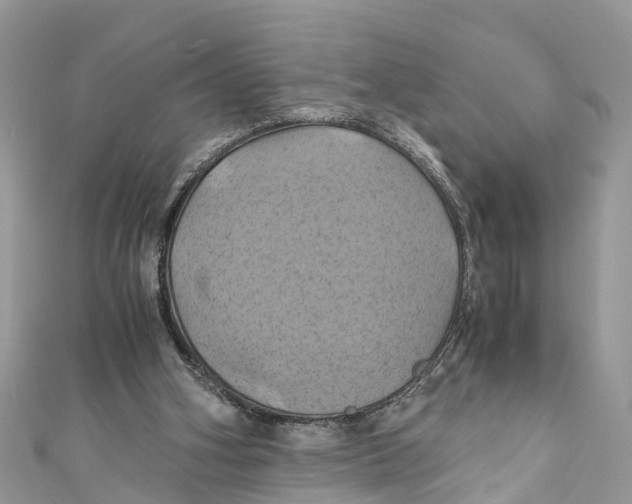 X0000110990106200907171800