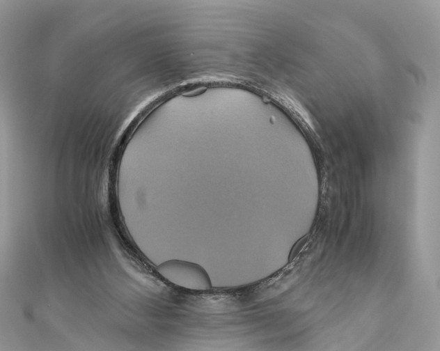 X0000110990108200907171800