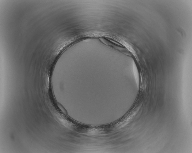 X0000110990109200907171800