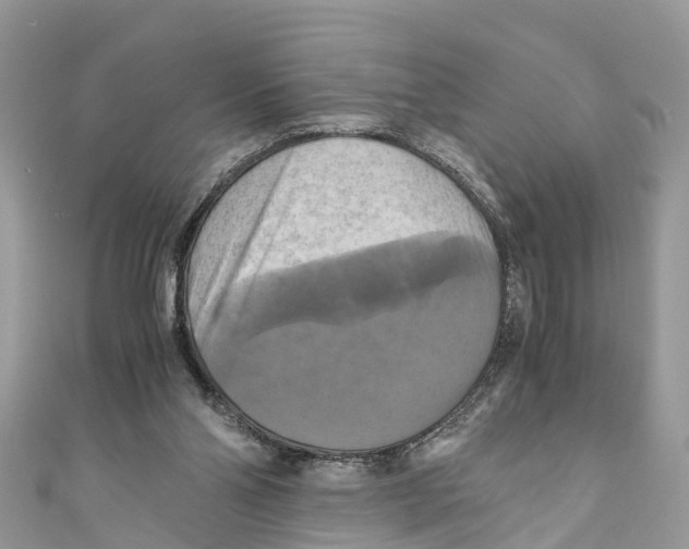 X0000110990110200907171800