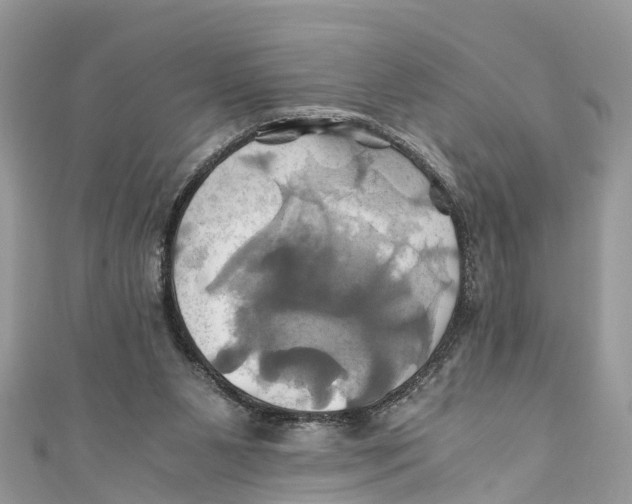 X0000110990111200907171800