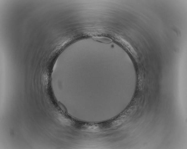 X0000110990113200907171800