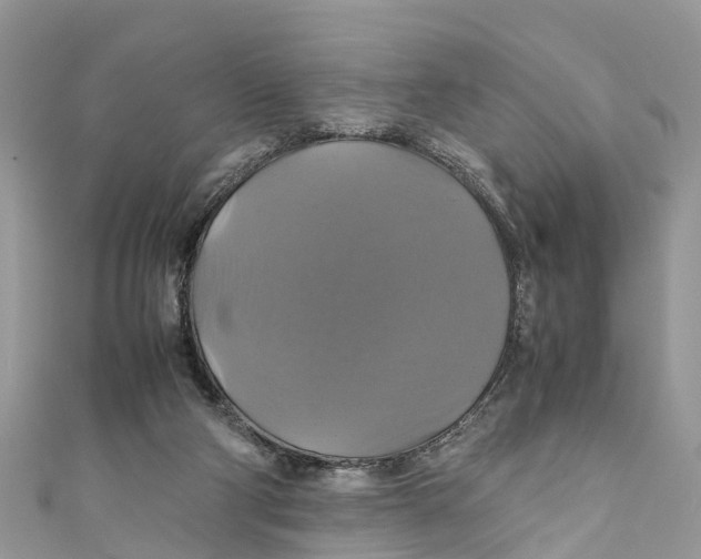 X0000110990114200907171800