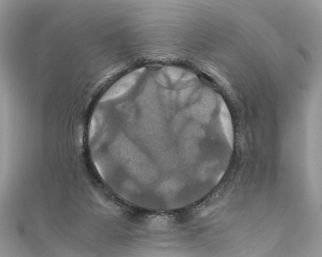X0000110990115200907171800