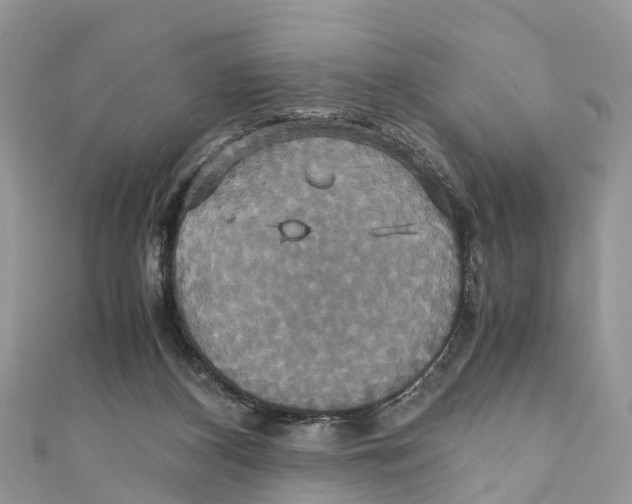 X0000110990116200907171800