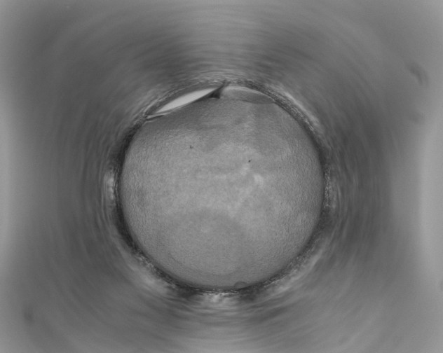 X0000110990117200907171800