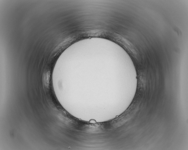 X0000110990118200907171800