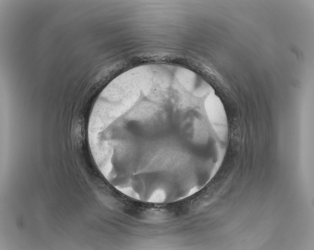 X0000110990119200907171800