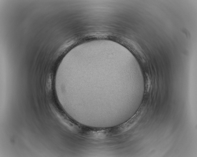 X0000110990120200907171800