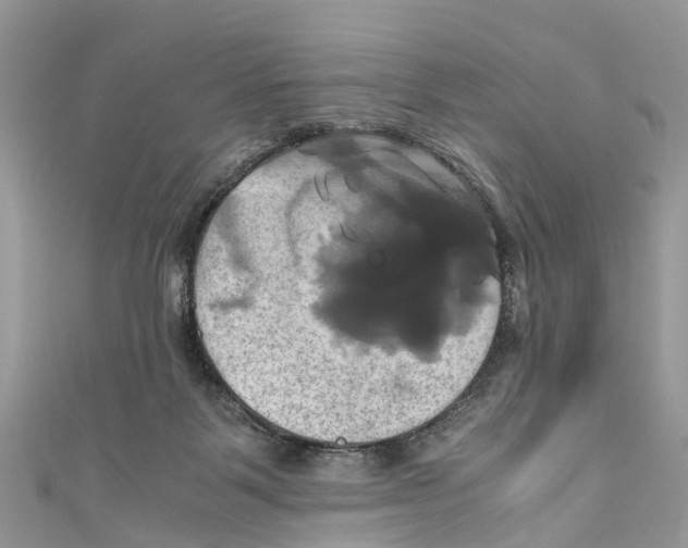 X0000110990123200907171800