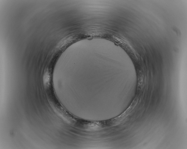 X0000110990124200907171800