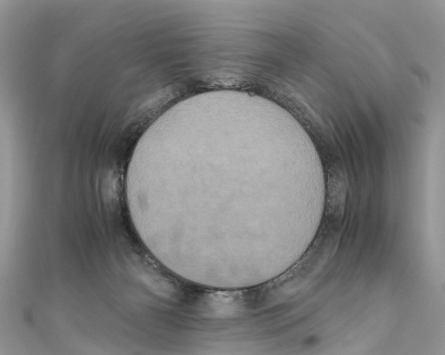 X0000110990126200907171800
