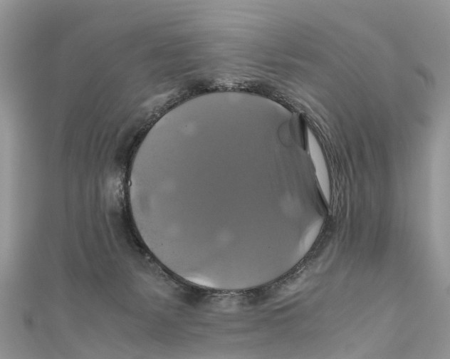 X0000110990127200907171800