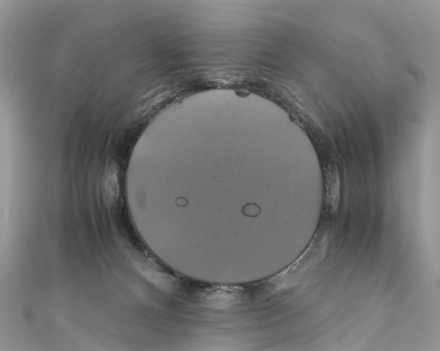 X0000110990128200907171800