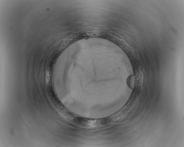 X0000110990130200907171759