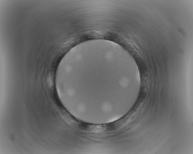 X0000110990131200907171759