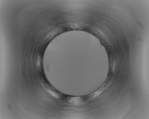 X0000110990132200907171759