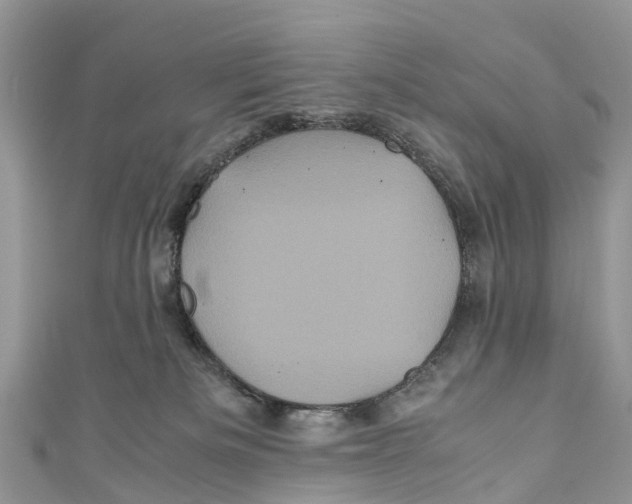X0000110990133200907171759