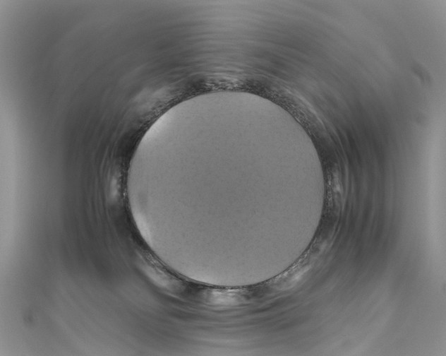 X0000110990134200907171759