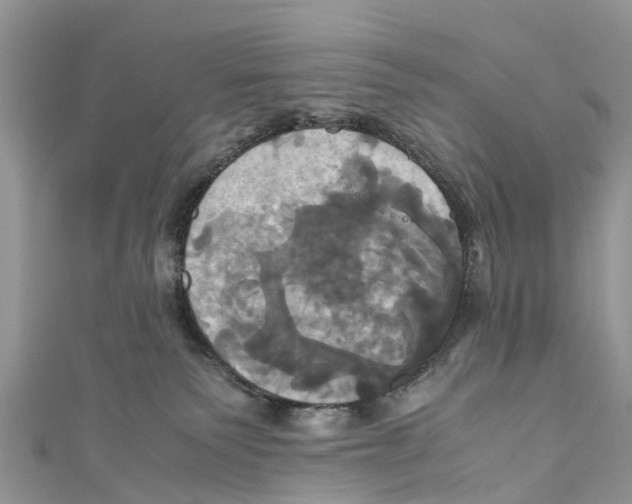 X0000110990135200907171759