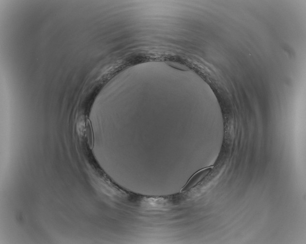 X0000110990137200907171759