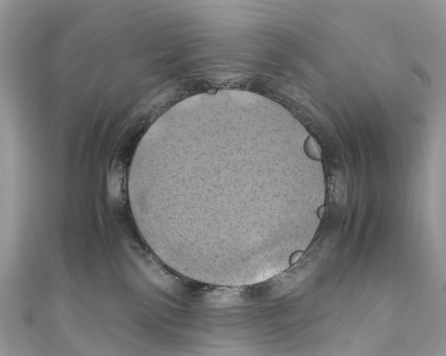 X0000110990138200907171759