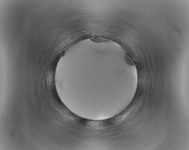 X0000110990139200907171759