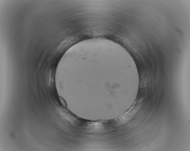 X0000110990140200907171759