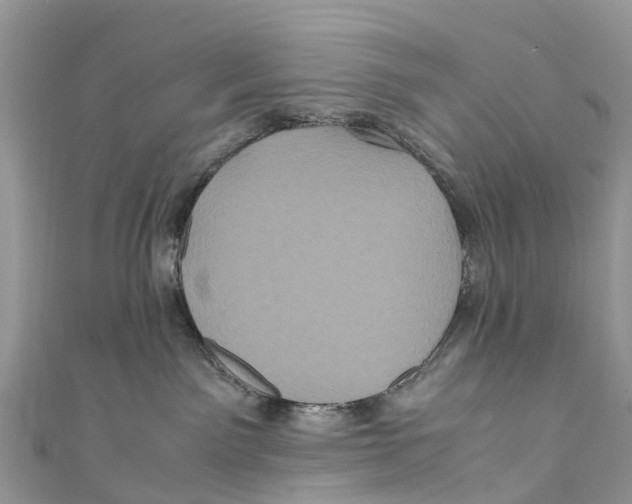 X0000110990141200907171759