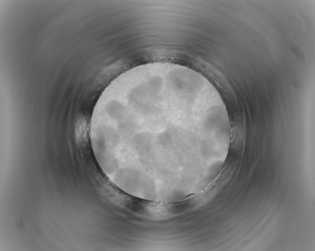 X0000110990142200907171759