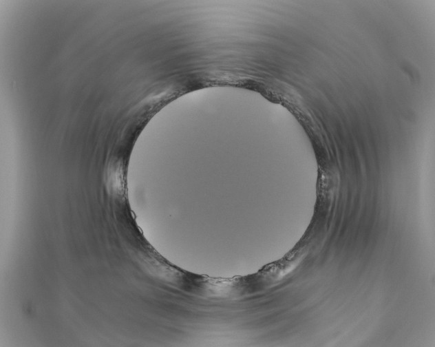 X0000110990143200907171759