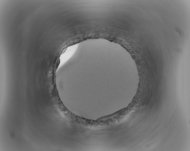 X0000110990144200907171759