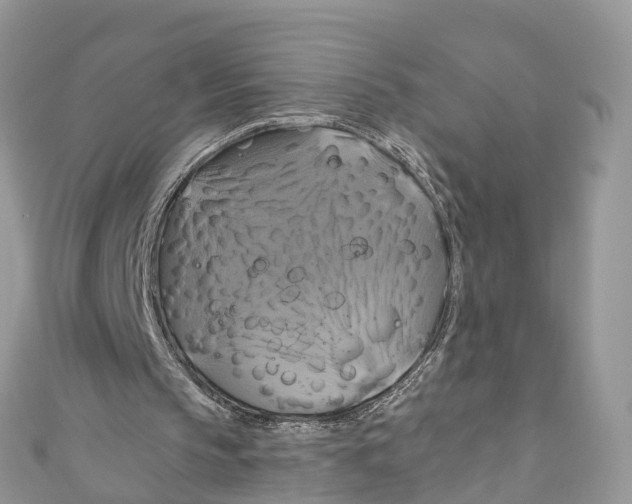X0000110990145200907171759
