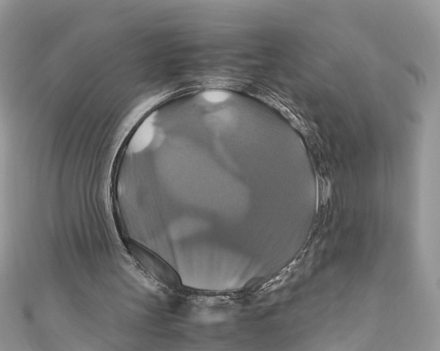 X0000110990147200907171759