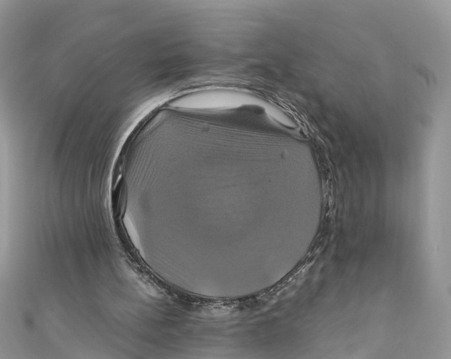 X0000110990148200907171759
