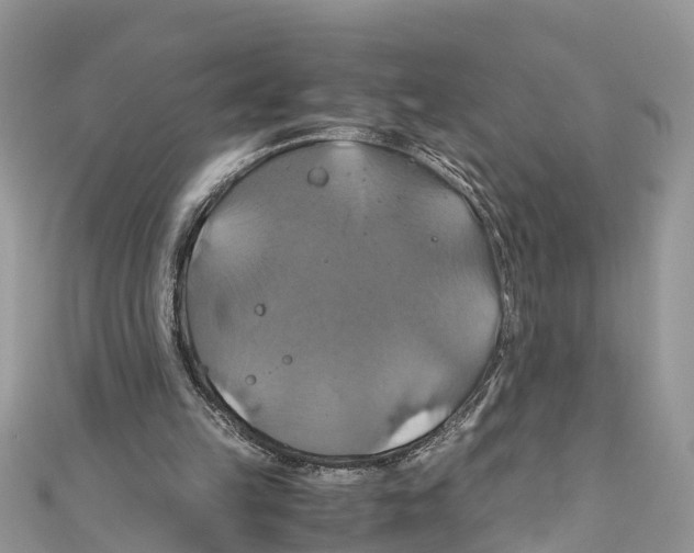 X0000110990149200907171759