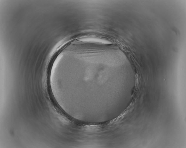 X0000110990150200907171759